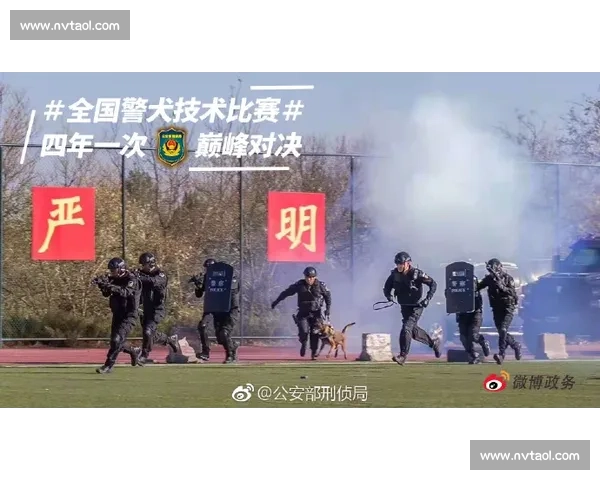 《狗头比赛视频火热上线，选手激烈角逐展现精彩操作与策略对决》